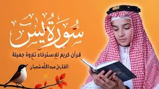 سورة يس - (كاملة)  قرآن كريم تلاوة جميلة تريح القلب - القارئ عبد الله شعبان