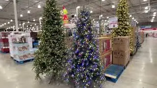 Christmas Tree Deals at Costco!
