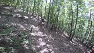 Kinzua Dam 2015