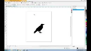 Tutorial- Export CorelDraw PNG Maintain size  for Amazon Merch