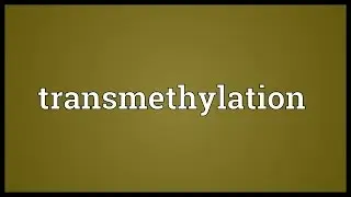 Transmethylation Meaning