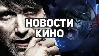 Главные новости кино | Тор: Любовь и гром, Человек-паук: Нет пути домой, Годзилла против Конга
