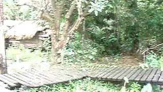 Bailique