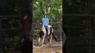 I rode bareback for the first time today! #horse #horseriding #progress  #horsebackriding #horses