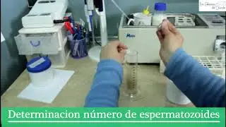 Preparacion y envio semen refrigerado