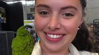 2023 Sydney Royal Easter Show