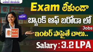 🚨 BOB బ్యాంకులో ఉద్యోగాలు, Exam లేదు | Latest Govt Jobs | BOB bank Jobs 2025 | 12th pass Job Search