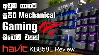 Best Budget Mechanical Gaming Keyboard Havit KB858L Full Review Sinhala