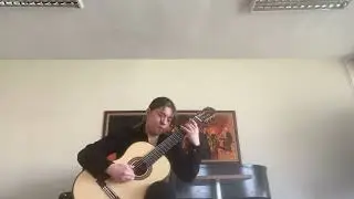 Radames Gnattali - Dansa Brasileira     Guitar:Ekin &Ouml;zl&uuml;