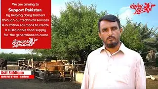 Asif Siddique Farmer Reviews - DairyLac