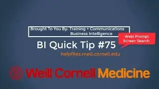 BI Quick Tip #75: Webi Prompt Screen Search