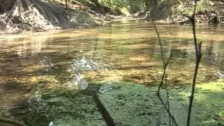 Boerne Texas Nature Video