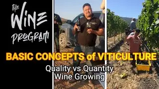 Basics Concepts of Viticulture:  Quality vs Quantity