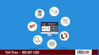Local SEO Brooklyn NY