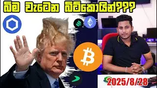 බිම වැටෙන බිට්කොයින්??? | BTC and ALT Coin Update By ROG CRYPTO | crypto update today sinhala