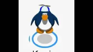 Club Penguin Propeller Hats.