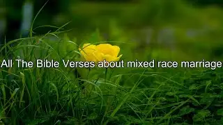 What does the Bible Say About mixed race marriage - All the Bible Verses About mixed race ...