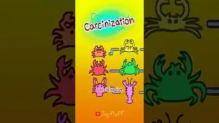 Is everyone becoming a crab? #flipaclip #capcut #crab #evolution #science 🦀