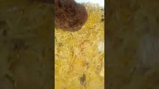 #tastybiryani