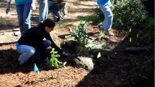 SPAWN Rain Garden and Rainwater Harvesting Projects with PG & E volunteers 2013