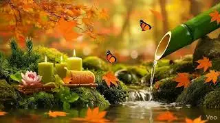 Healing Music for Inner Peace 🌿Calm Nature Sounds for Stress Release & Deep Sleep, Relaxing Music🌿