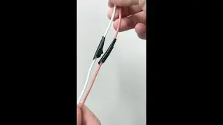The 