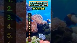 🐾 Animal Superlatives Quiz | 10 Wildest Records in the Animal Kingdom 🌍🦁