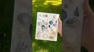 Day 5 of summer crafts! Shell canvas #beach #summer #art #craft #roomdecor #diy