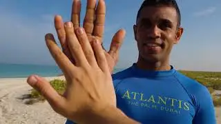 Advancing marine conservation with sharks release and beach cleanup | Atlantis Atlas Project