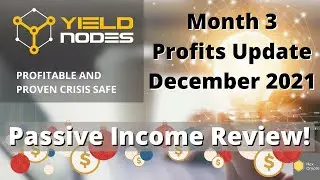 Yield Nodes Review - Month 3 Results - December 2021 Passive Income