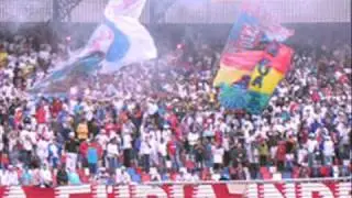 MEU PARAN&Aacute;, MEU TRICOLOR
