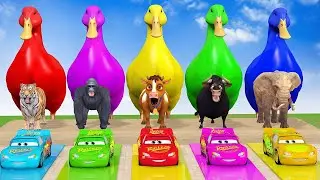 Long Slide Game with Cow Elephant Gorilla Hippopotamus Tiger 3d Animal Game Funny 3d Animals