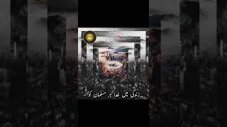 وہ مدینہ جو کونین کا تاج ہے 🌹👑 #NaatClips #Naat3 #NC3 #IslamicShorts #NaatVideo