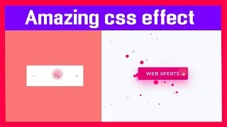 5 Stunning CSS Effect | CSS Animations and effect | Top CSS animation effect | Web xperts