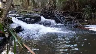 Beautiful and calm mini waterfall with relaxing guitar music.  #relaxing #calming #asmr