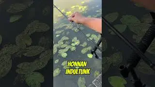 🎣 Pontosan ugyanoda dobni? Nem &ouml;rd&ouml;ng&ouml;ss&eacute;g!