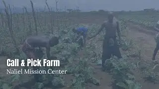 Call and Pick Farm part 2
