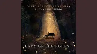 Lady of the Forest (Radio Edit)