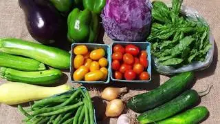 FARM SHARE PROGRAM