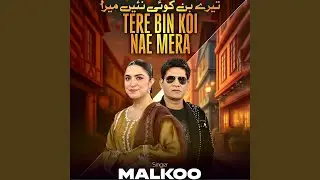 Tere Bin Koi Nae Mera