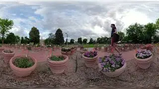 TRAVEL PROXY: Gliding over flowers at Colorado State University
