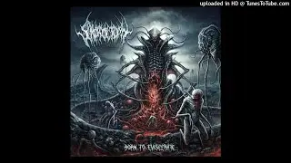 Scrotoctomy - Born to Eviscerate