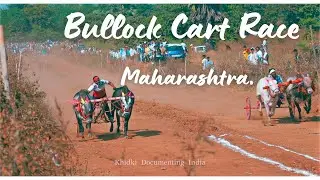 Bullock Cart Race of Maharashtra | बैलगाड़ी शर्यत | DOCUMENTARY |