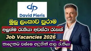 Best Job Vacancies in Sri Lanka 2026 I New Jobs Sinhala I New Job Opportunities
