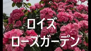 ロイズローズガーデン