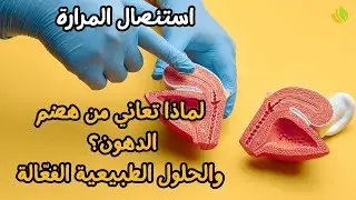هضم الدهون بعد استئصال المرارة | مكملات وأطعمة ستغير حياتك