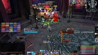 wow1