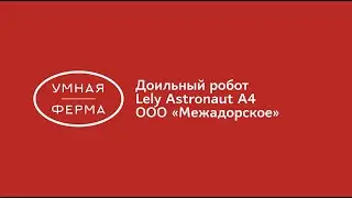 Роботы Lely Astronaut A4 и Lely Juno. ООО &laquo;Межадорское&raquo;, республика Коми