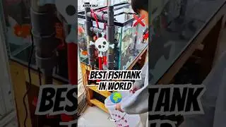 Automatic Fishtank Filter........#fish#fishtank#guppy#mollyfish#petsvlog#minizoo#bettafish#aquarium