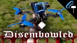 Disembowled 🔪